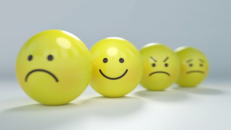 Mindfulness Workshop